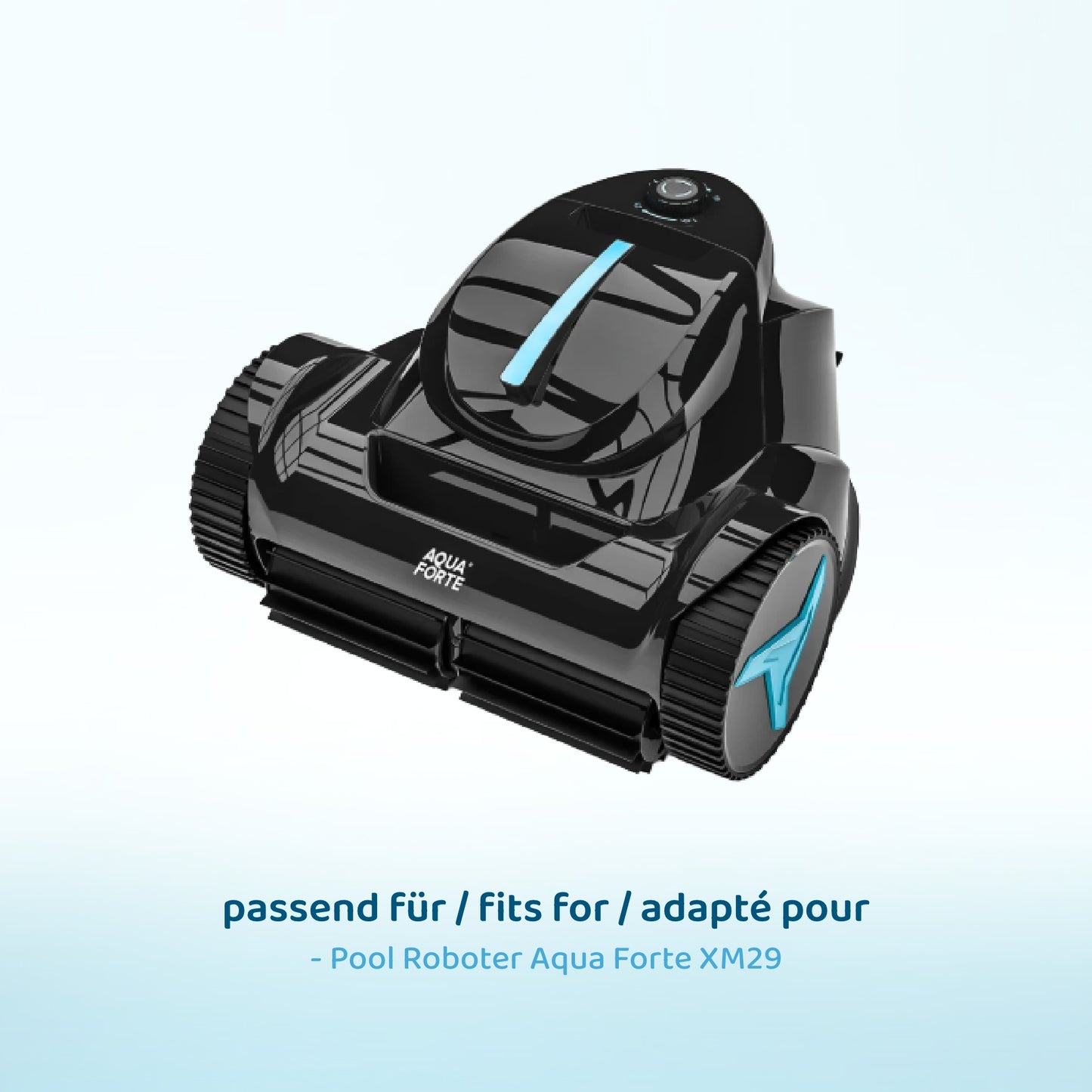 Feinstfilter für Poolroboter AquaForte XM29