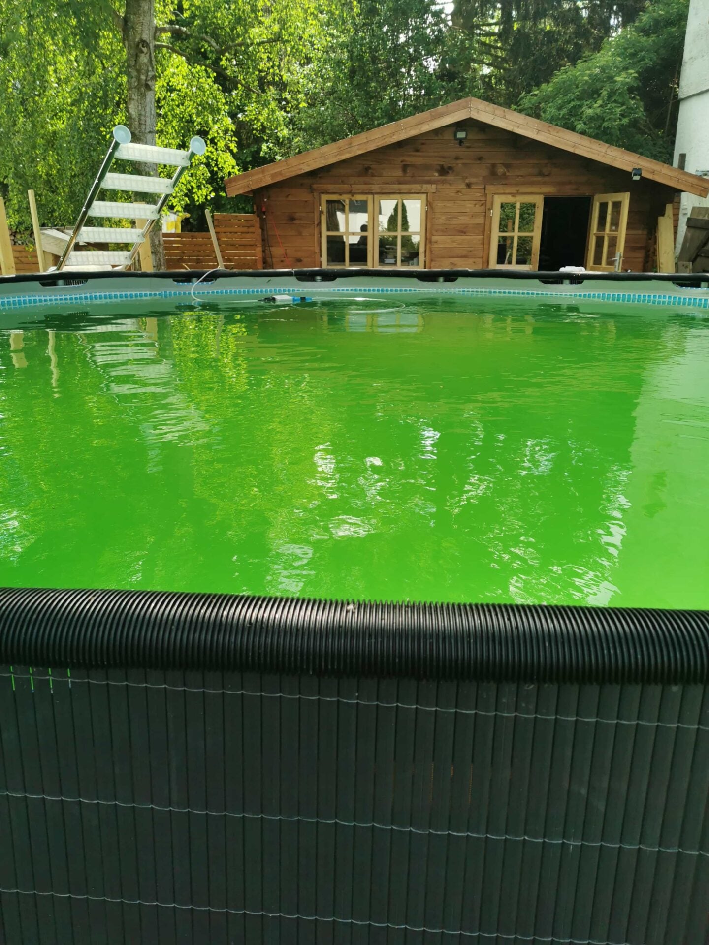 1-2-3 Algae free