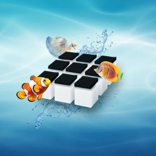 Mini filtre d'aquarium FishFlow 