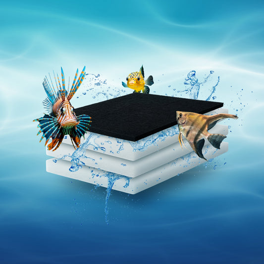Filtre d'aquarium FishFlow Maxi 