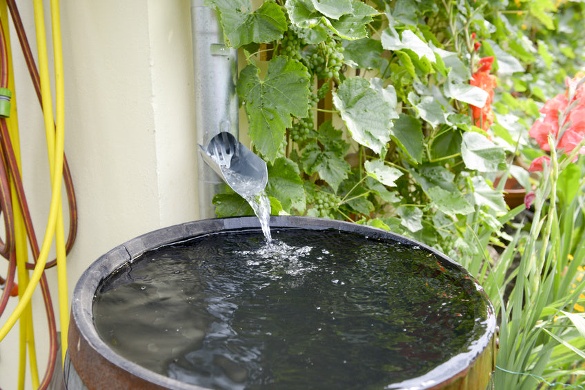 Sauberes und gereinigtes Wasser in ihrer Zisterne durch den PureFlow Rainfilter.