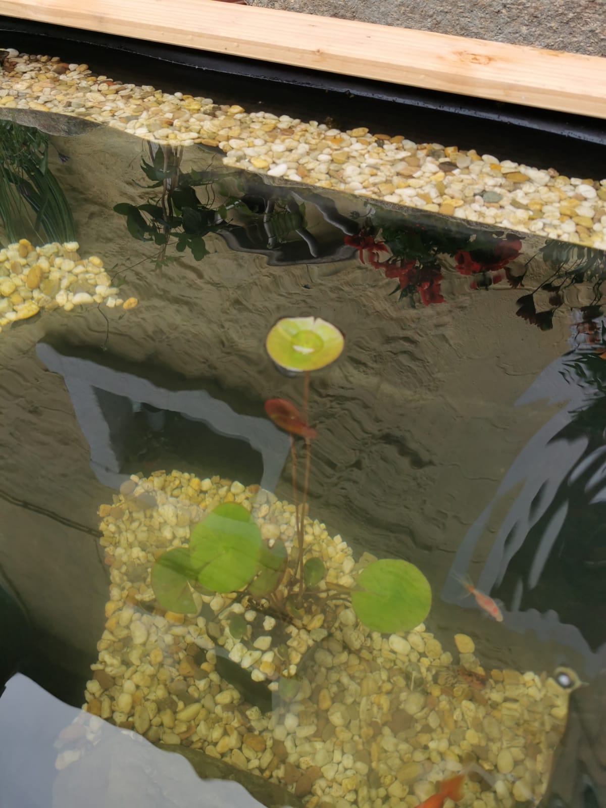 PureFlow NATURE filter panels MAXI. Prevents dirt and suspended matter in garden ponds, fountains and aquariums. Chemical-free for uncontaminated water.