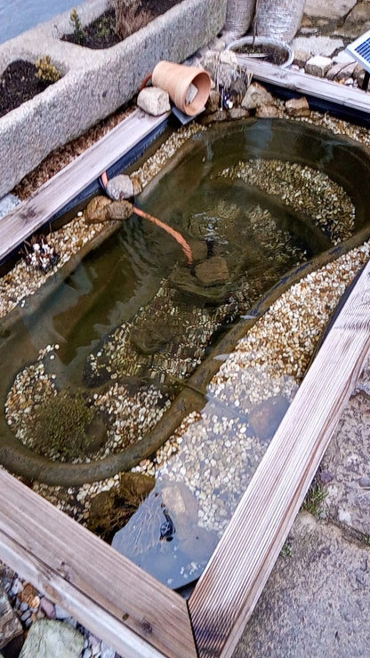 Klares und sauberes Teichwasser, dank der PureFlow NATURE Filtertafeln MAXI