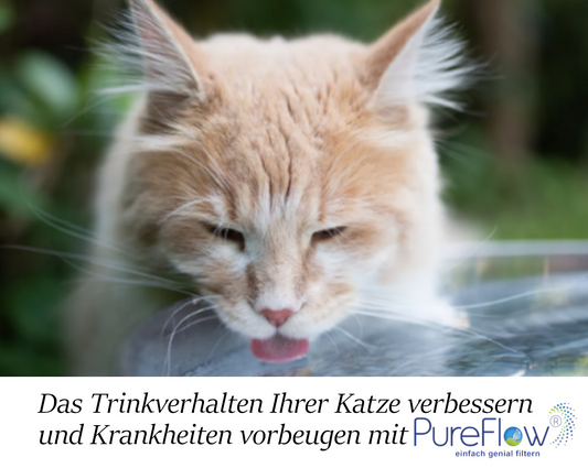 PureFlow Trinkbrunnenfilter: Premium Filter für Haustiere. Das perfekte Geschenk für Ihre Hunde und Ihre Katzen